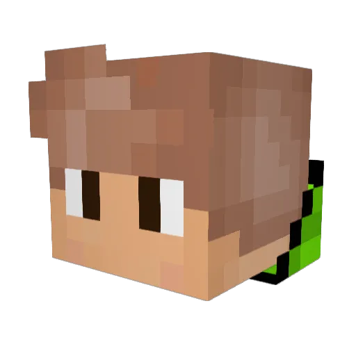 Kanivanha Minecraft avatar head, 3D render