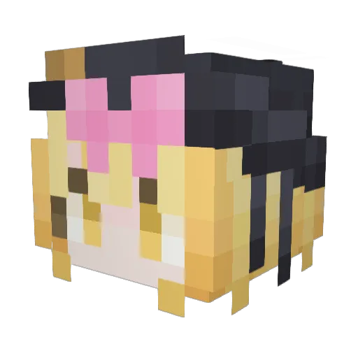 Kannass Minecraft avatar head, 3D render