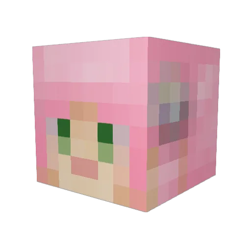 Kanopy Minecraft avatar head, 3D render