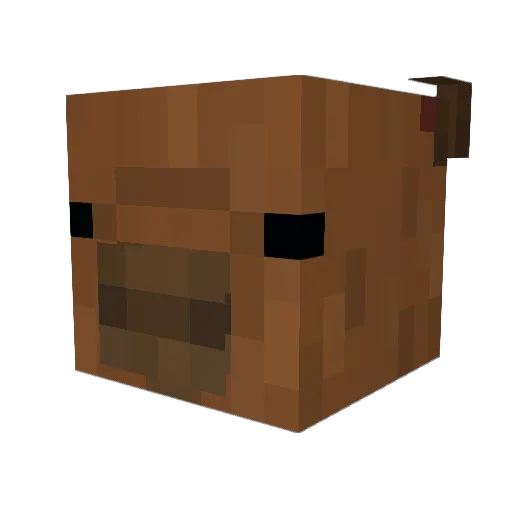 KanorKub Minecraft avatar head, 3D render