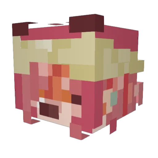Kansas8095 Minecraft avatar head, 3D render