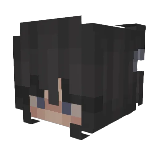 KantStopMe Minecraft avatar head, 3D render