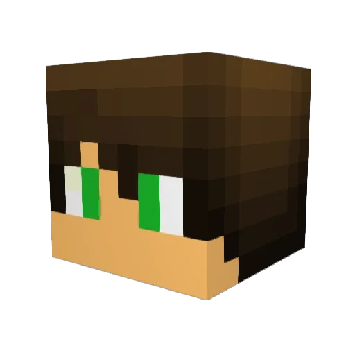 Kanza Minecraft avatar head, 3D render