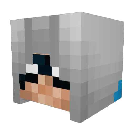 Kaolere Minecraft avatar head, 3D render