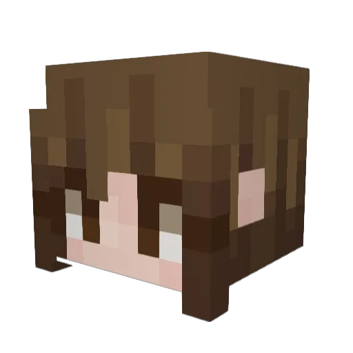 Kaonashee Minecraft avatar head, 3D render