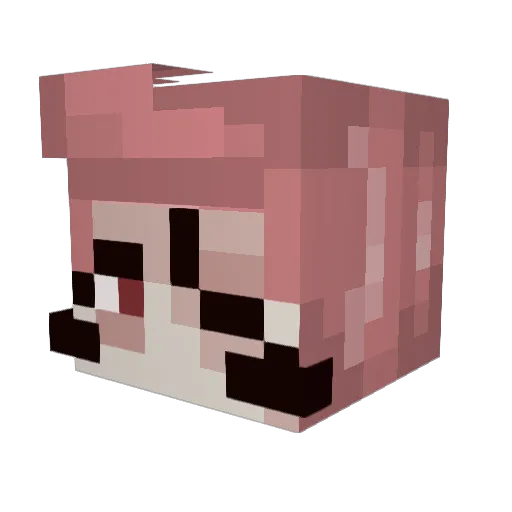 Kaor74 Minecraft avatar head, 3D render