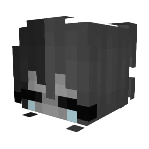 Kaoren05 Minecraft avatar head, 3D render