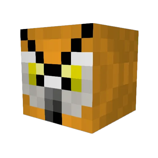 KaousNinja Minecraft avatar head, 3D render