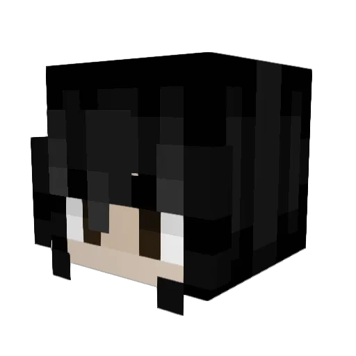 Kapeianatuvi Minecraft avatar head, 3D render