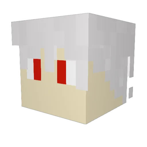 Kapek81 Minecraft avatar head, 3D render