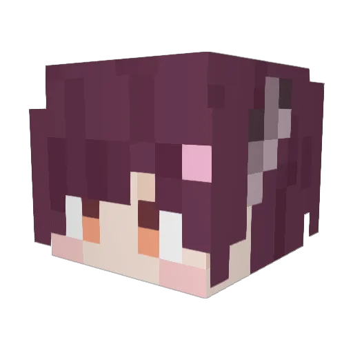 Kapibara_Onsen Minecraft avatar head, 3D render