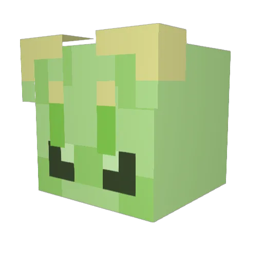 Kapibarapl652 Minecraft avatar head, 3D render