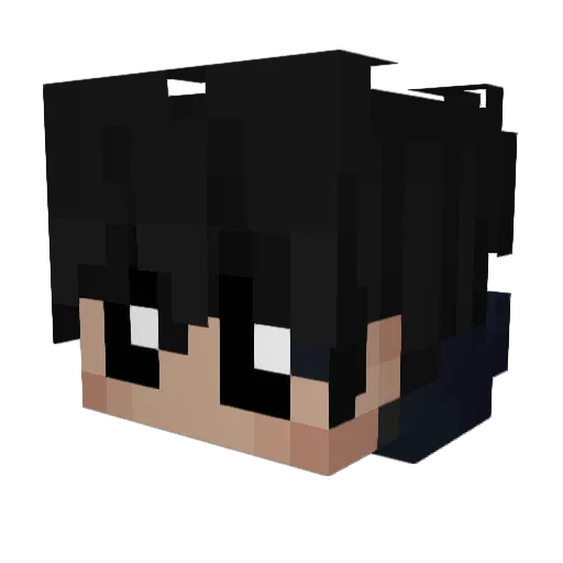 Kaplocek Minecraft avatar head, 3D render