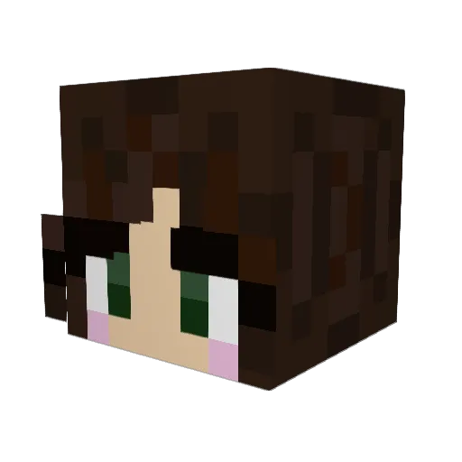 Kappa001 Minecraft avatar head, 3D render