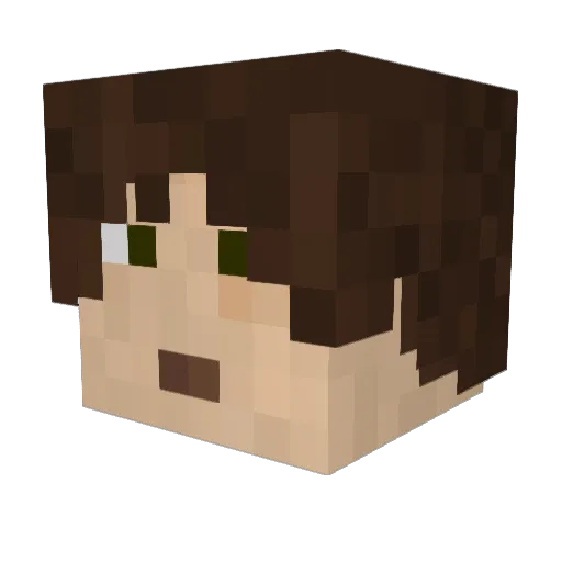 KappaRho155 Minecraft avatar head, 3D render