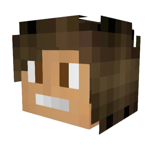 Kappatrik Minecraft avatar head, 3D render