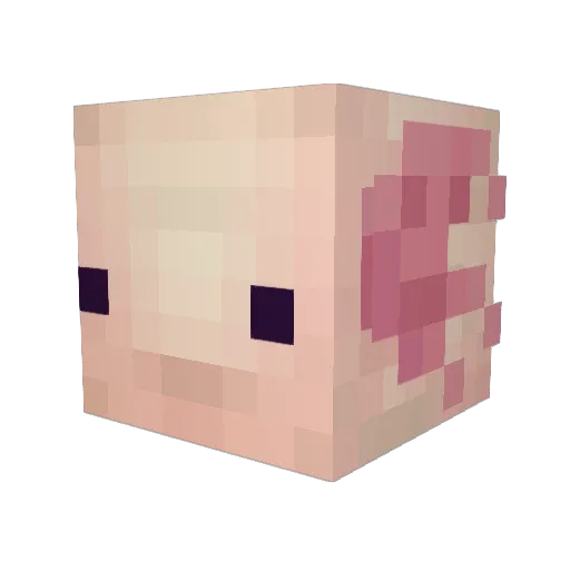 Kappy2 Minecraft avatar head, 3D render