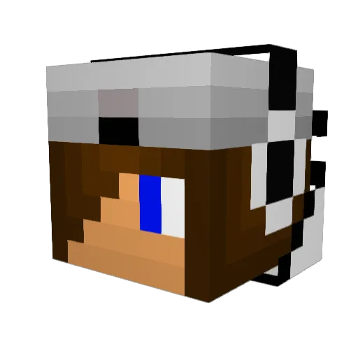 Kappy96 Minecraft avatar head, 3D render