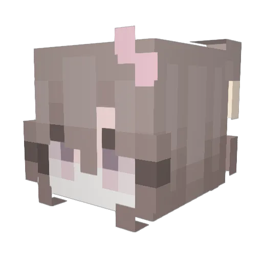 Kapteeni_Koukku Minecraft avatar head, 3D render