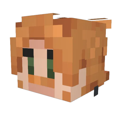KaptenTonne Minecraft avatar head, 3D render