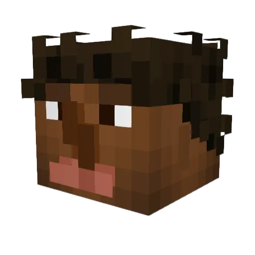 Kaptyn1 Minecraft avatar head, 3D render