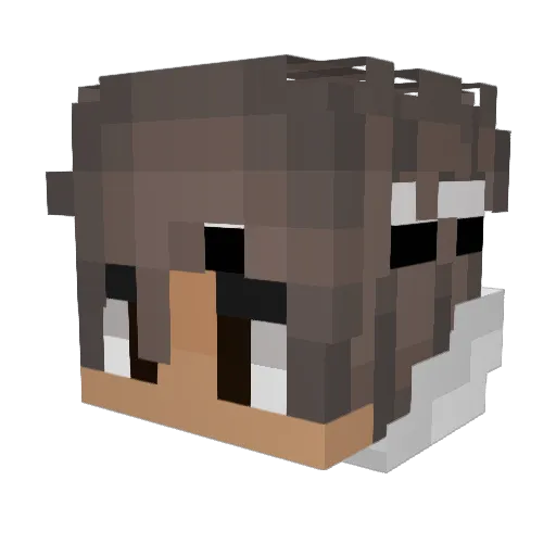 Kapusta696 Minecraft avatar head, 3D render