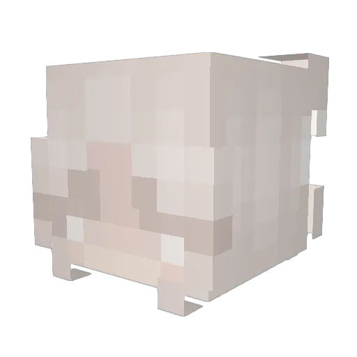Kaputinoo Minecraft avatar head, 3D render