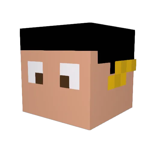 Kapyushon555 Minecraft avatar head, 3D render