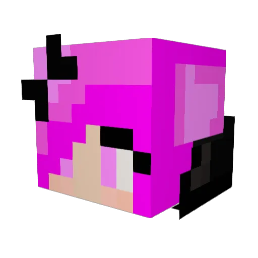 Kar0ol Minecraft avatar head, 3D render