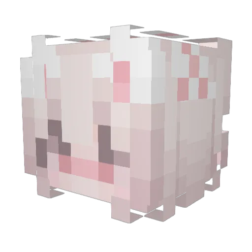KarKar69 Minecraft avatar head, 3D render