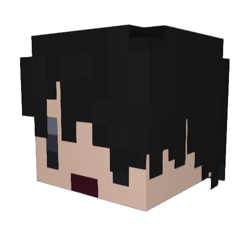 KarLy3515 Minecraft avatar head, 3D render