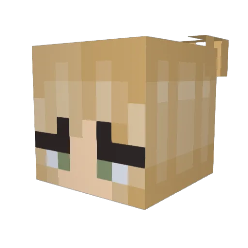 Kara678 Minecraft avatar head, 3D render