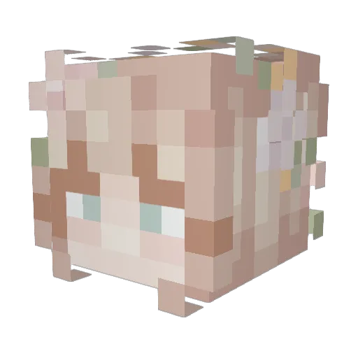 KaraBear02 Minecraft avatar head, 3D render