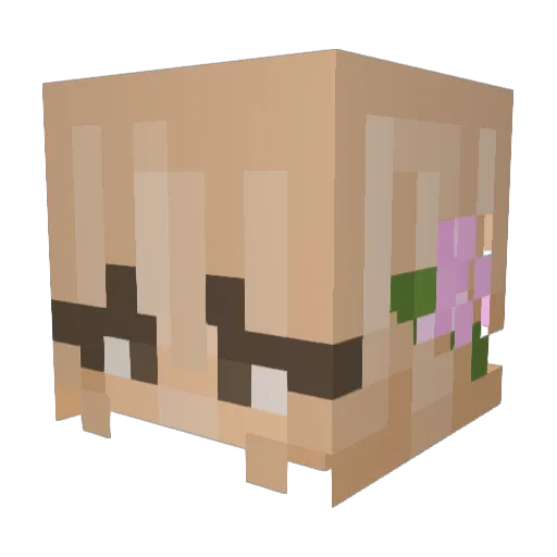 KaraCucumber123 Minecraft avatar head, 3D render