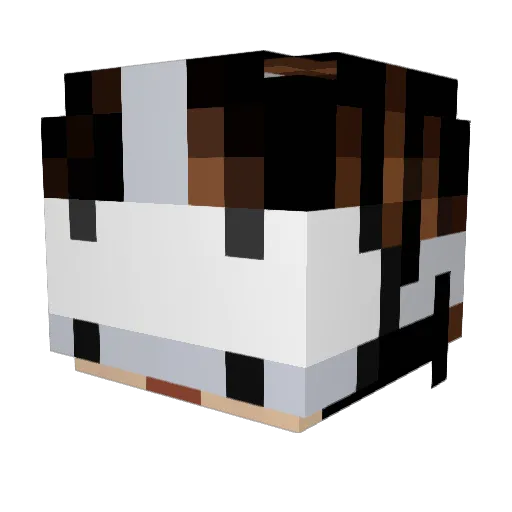KaraKutu76 Minecraft avatar head, 3D render