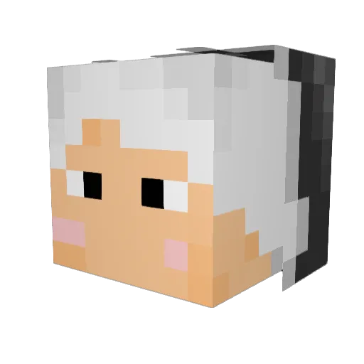Karaage56 Minecraft avatar head, 3D render