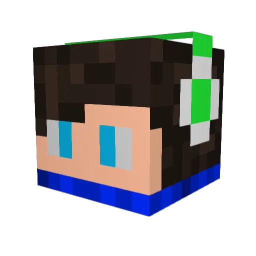 Karaage_26 Minecraft avatar head, 3D render