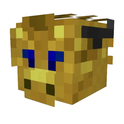 Karacht Minecraft avatar head, 3D render