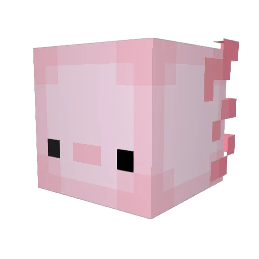 Karanir_ Minecraft avatar head, 3D render