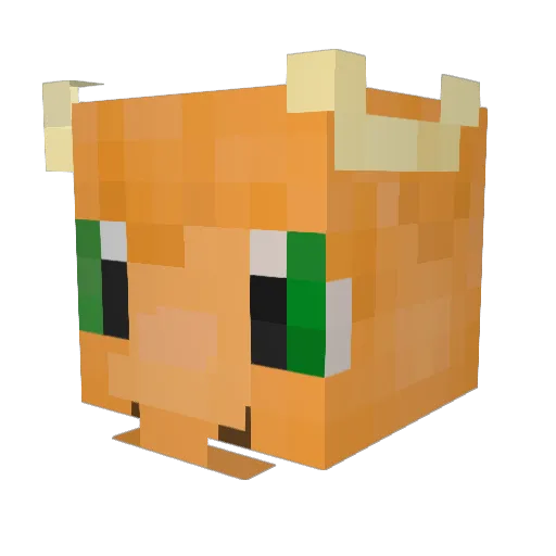 KarateArne Minecraft avatar head, 3D render