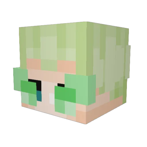 Karatekid5 Minecraft avatar head, 3D render