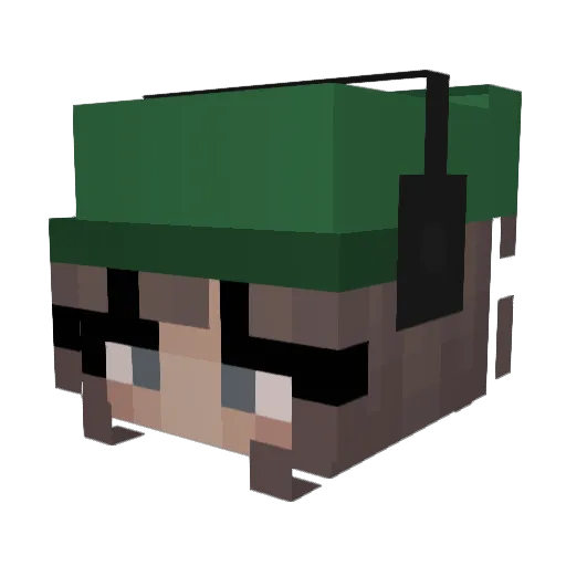 Karatekid88 Minecraft avatar head, 3D render