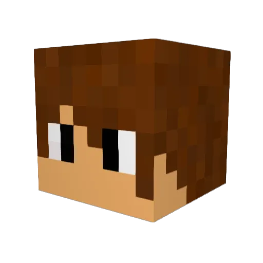 Karatik_ Minecraft avatar head, 3D render