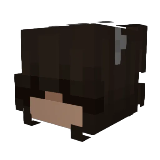 Karcixx Minecraft avatar head, 3D render