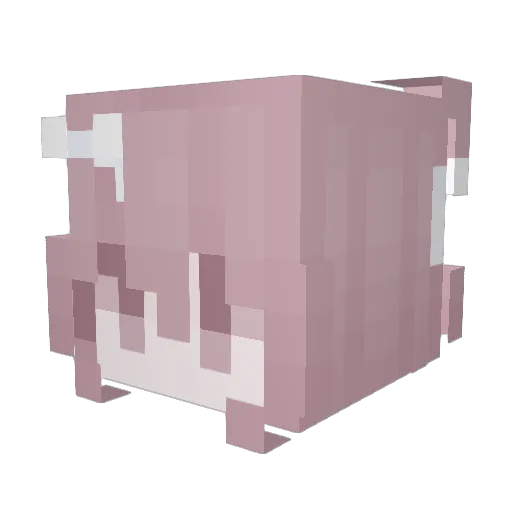 Kareinr Minecraft avatar head, 3D render