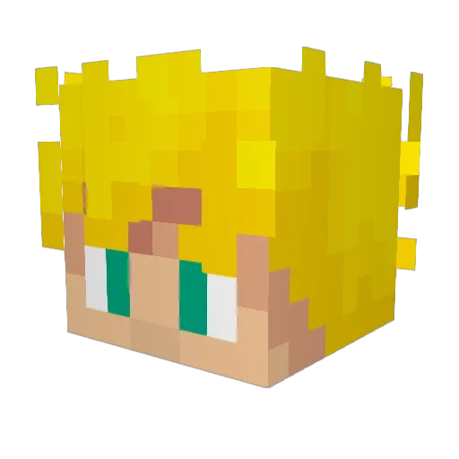 KarelAppel0546 Minecraft avatar head, 3D render