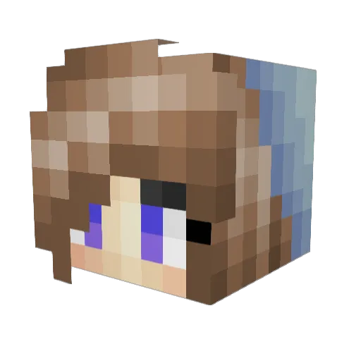 Karen19 Minecraft avatar head, 3D render