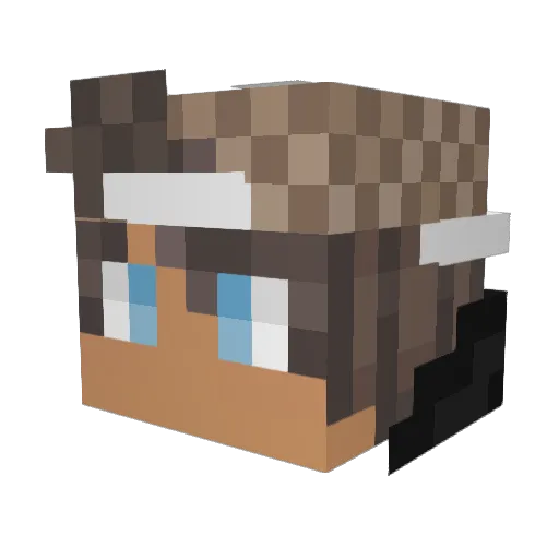 KarerPL Minecraft avatar head, 3D render