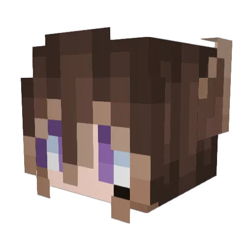 Karetao_ Minecraft avatar head, 3D render