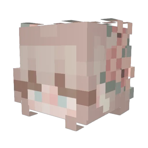 Karilina Minecraft avatar head, 3D render